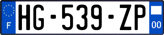 HG-539-ZP