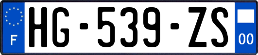 HG-539-ZS