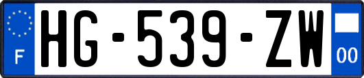 HG-539-ZW