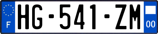HG-541-ZM