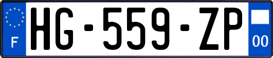 HG-559-ZP