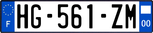 HG-561-ZM
