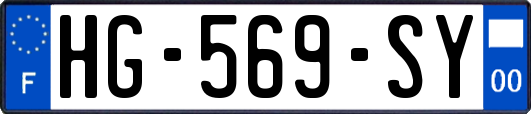 HG-569-SY
