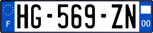 HG-569-ZN