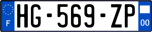HG-569-ZP