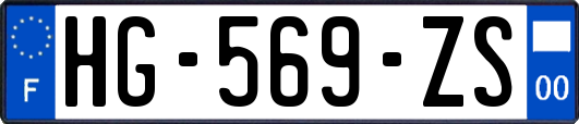 HG-569-ZS