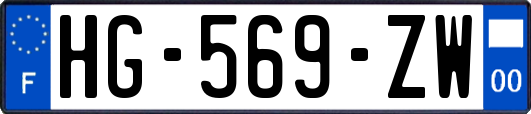 HG-569-ZW