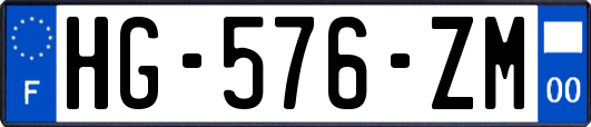 HG-576-ZM