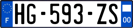 HG-593-ZS