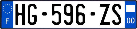 HG-596-ZS