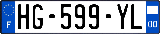 HG-599-YL