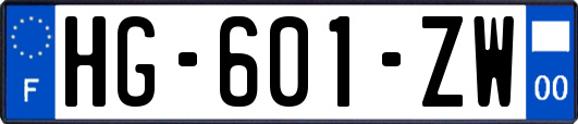 HG-601-ZW