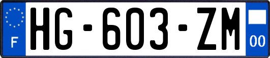 HG-603-ZM