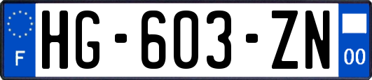 HG-603-ZN