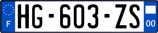 HG-603-ZS
