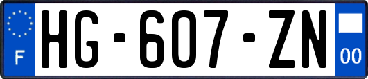 HG-607-ZN