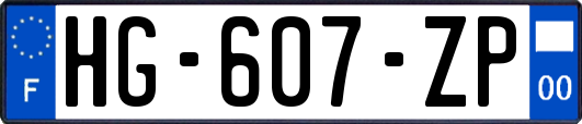 HG-607-ZP