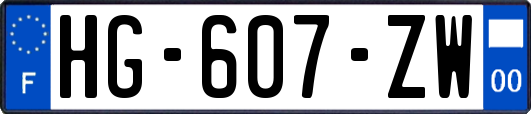 HG-607-ZW