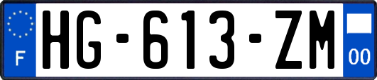 HG-613-ZM