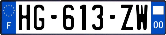 HG-613-ZW