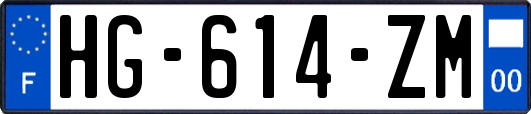 HG-614-ZM