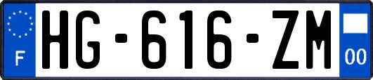 HG-616-ZM