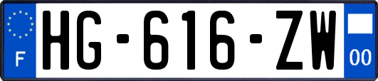 HG-616-ZW