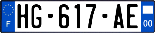 HG-617-AE