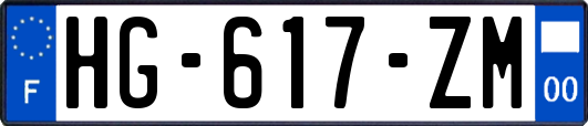 HG-617-ZM