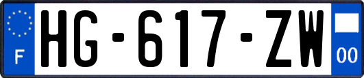 HG-617-ZW