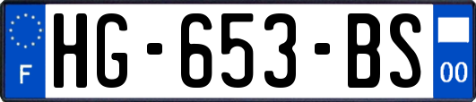 HG-653-BS