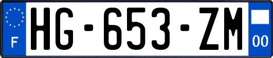 HG-653-ZM