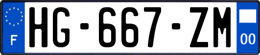 HG-667-ZM