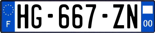 HG-667-ZN