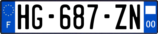 HG-687-ZN
