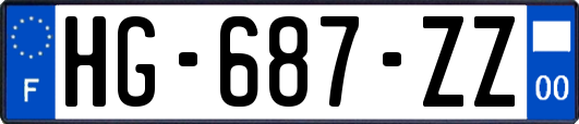 HG-687-ZZ