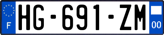 HG-691-ZM