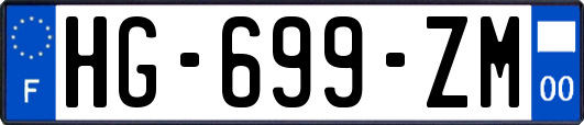 HG-699-ZM