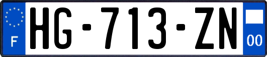 HG-713-ZN