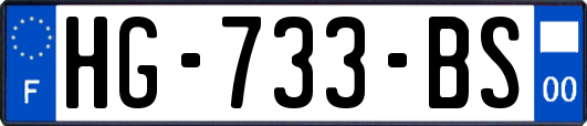 HG-733-BS