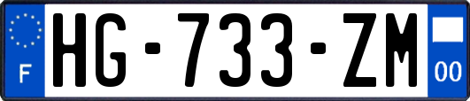 HG-733-ZM