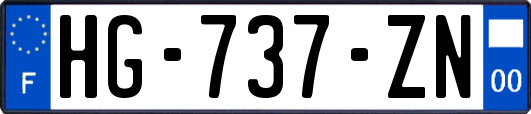HG-737-ZN