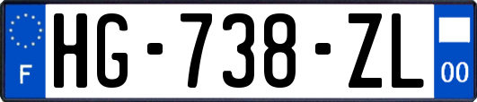 HG-738-ZL