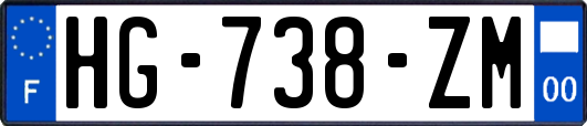 HG-738-ZM