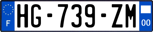 HG-739-ZM