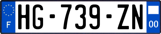 HG-739-ZN