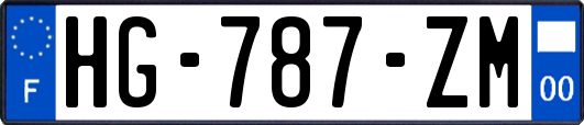 HG-787-ZM