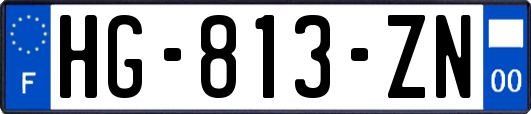 HG-813-ZN