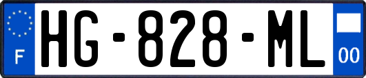 HG-828-ML