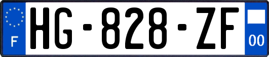 HG-828-ZF